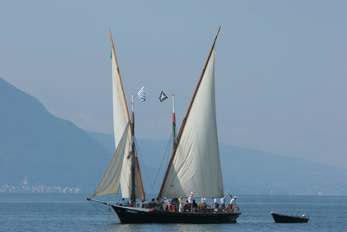 Regate Vieux Bateaux - 222 - 2008